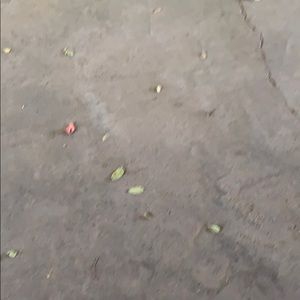 Meet your Posher, Oscar